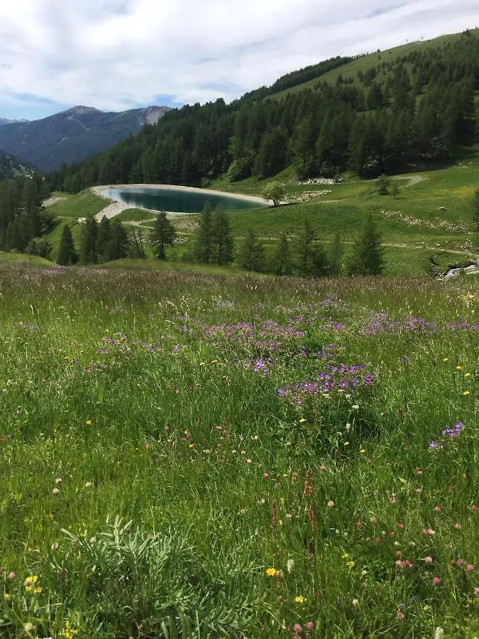 Studio Montagne Allos France
